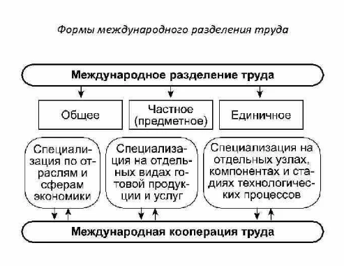 Виды международного разделения труда