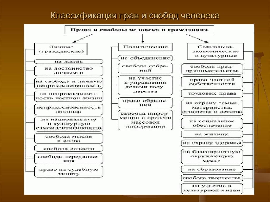 Политические права и свободы граждан рф план