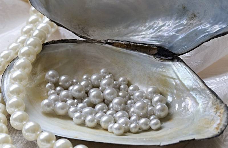 Кто придумал культивированный жемчуг, чем он отличается от природного – ответы в статье на www.pearl-shop.ru