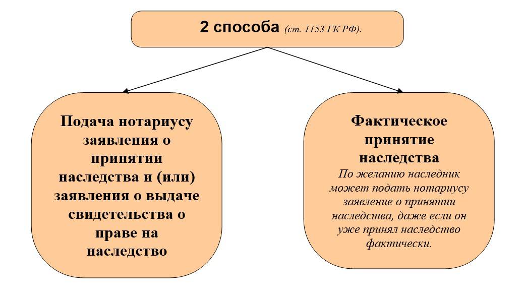 Статья 1153 гк рф "способы принятия наследства": комментарии и особенности :: businessman.ru