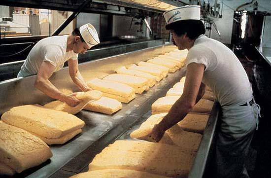 Бизнес-план по производству сыра с расчетами
