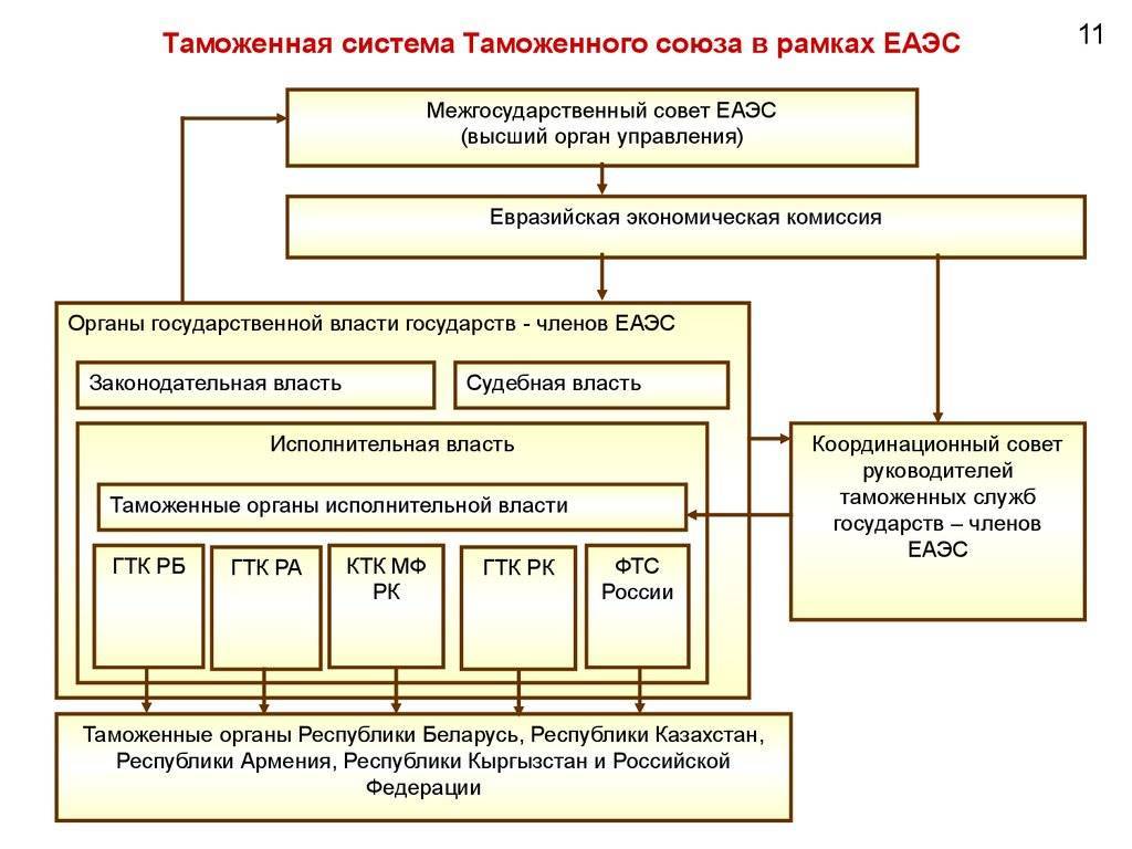 Таможенные органы российской федерации: система и структура