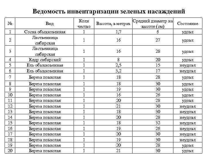Учет и инвентаризация зеленых насаждений: методика проведения и образец :: businessman.ru