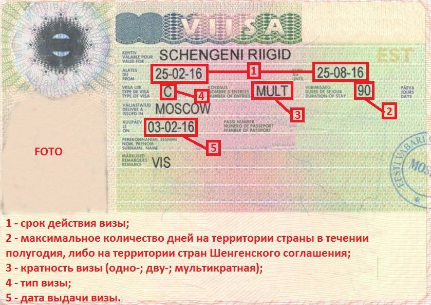 Стоимость шенгенской визы для россиян в 2020 году