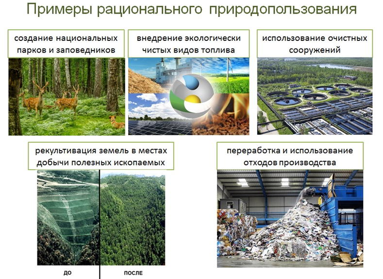 Какими природными ресурсами богата россия: карта полезных ископаемых