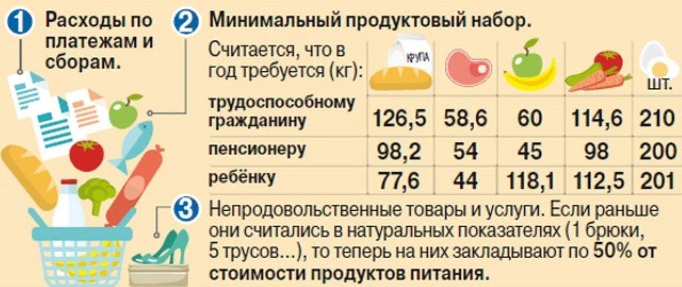 Прожиточный минимум на человека в россии в 2021 году