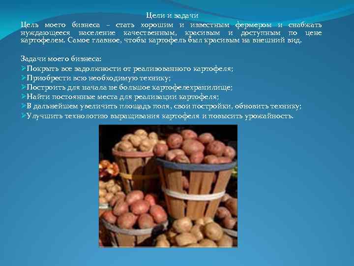 Бизнес-план по выращиванию картофеля - «жажда» - бизнес-журнал
