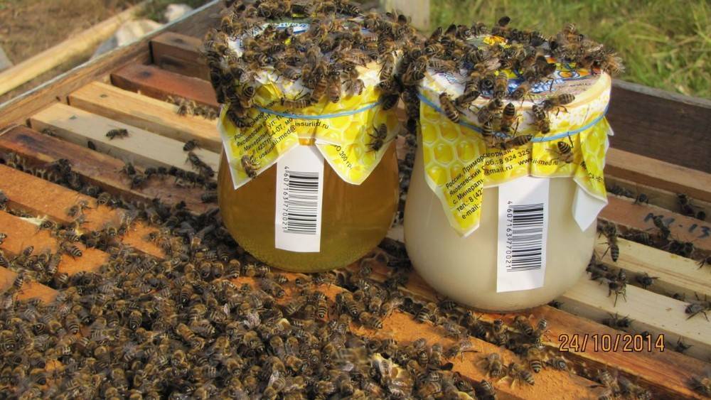 Промышленное пчеловодство: технология, оборудование, перспективы в россии