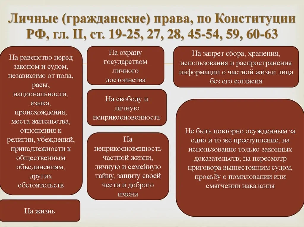 Сложный план гражданские права и свободы граждан