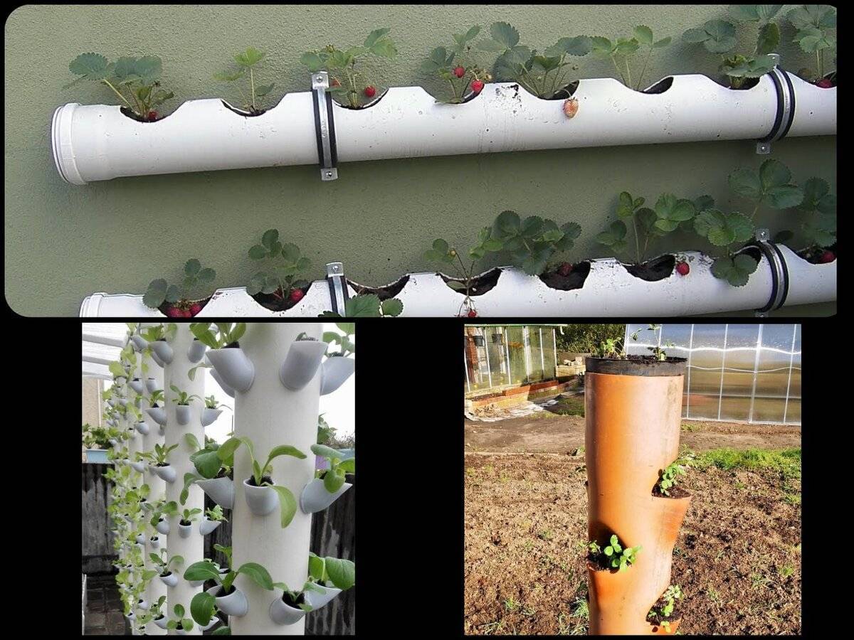 19 творческих идей по использованию пвх-труб для сада и огорода