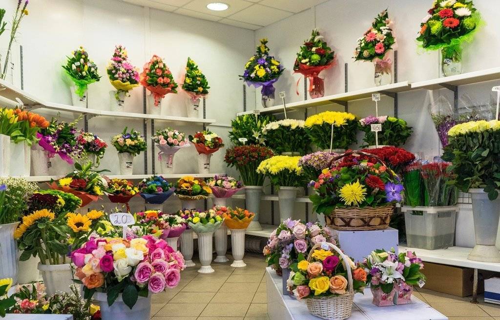 С чего начать цветочный бизнес? цветочный бизнес с нуля: отзывы владельцев