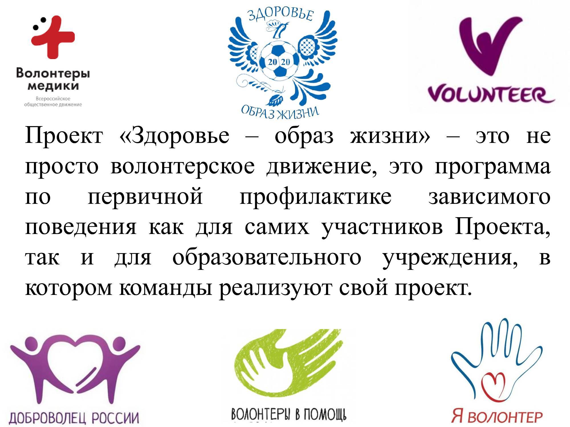 Информация о волонтерской деятельности