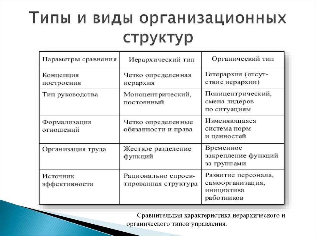 Организационная структура предприятия: какие виды бывают | bankhys.ru - банки, бизнес и экономика для всех.