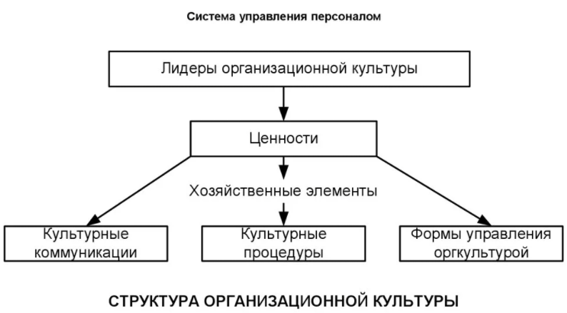 3.3. организационная структура системы управления персоналом