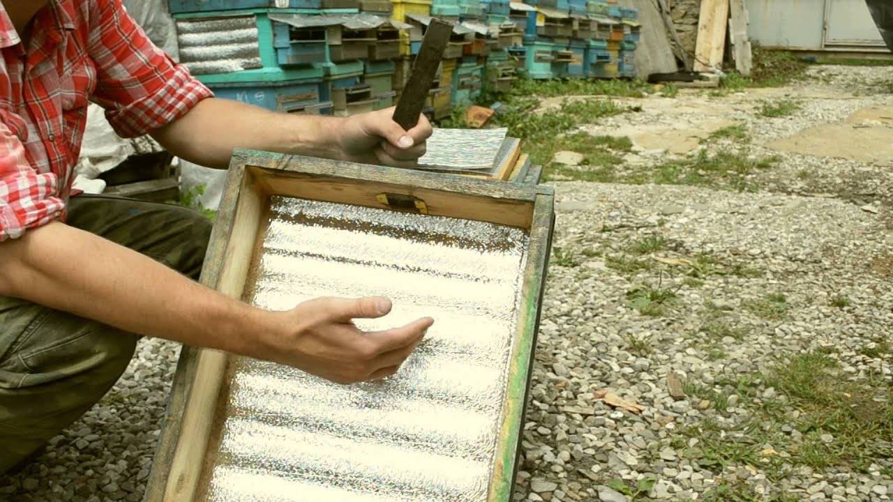 Бизнес идея пчеловодство - лучшие бизнес идеи 2017/2018