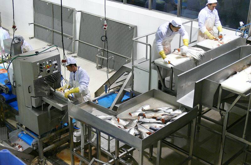 Технологии рациональной переработки рыбы рыбопродуктов