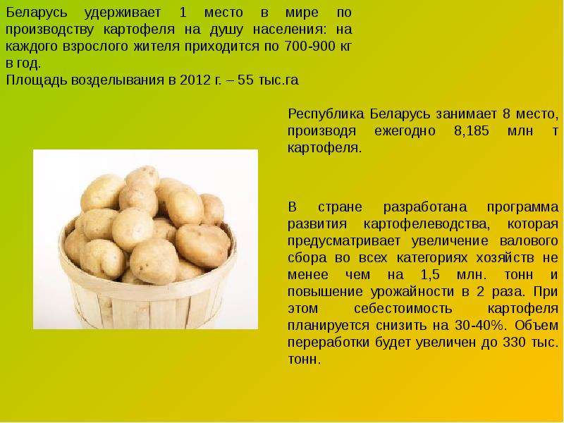 Бизнес-план по выращиванию картофеля, производству картошки скачать с готовыми расчетами