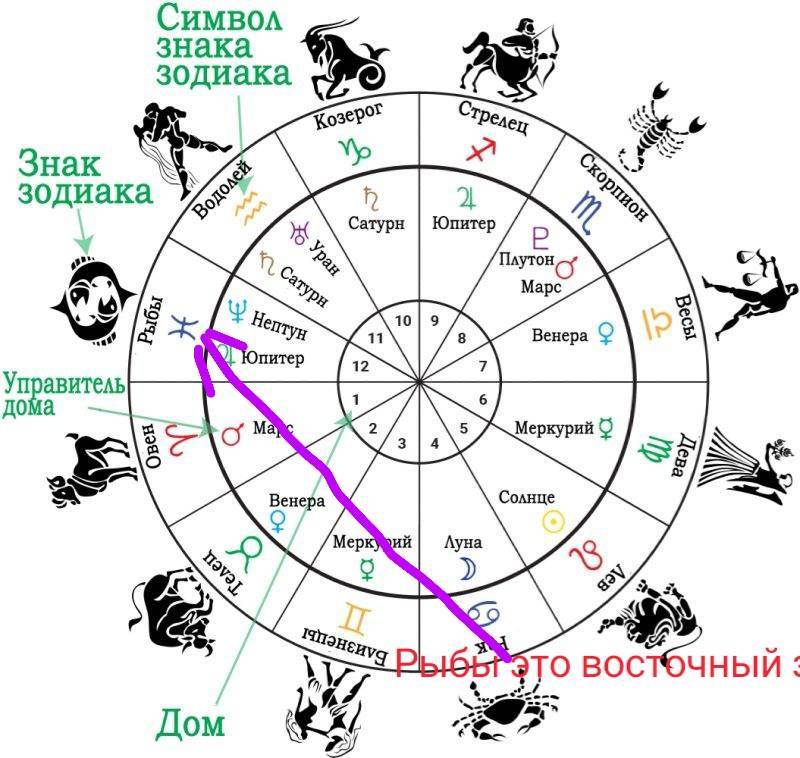 Финансовый гороскоп на 2022 год | денежный гороскоп на год | astro7