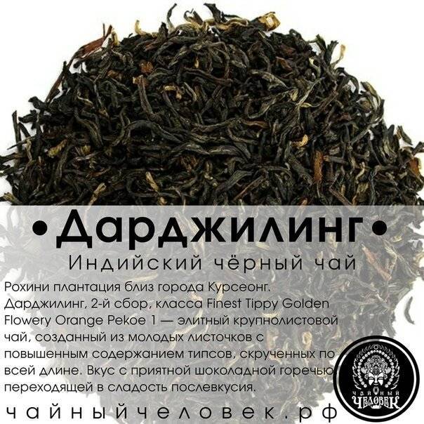 Самый дорогой чай в мире