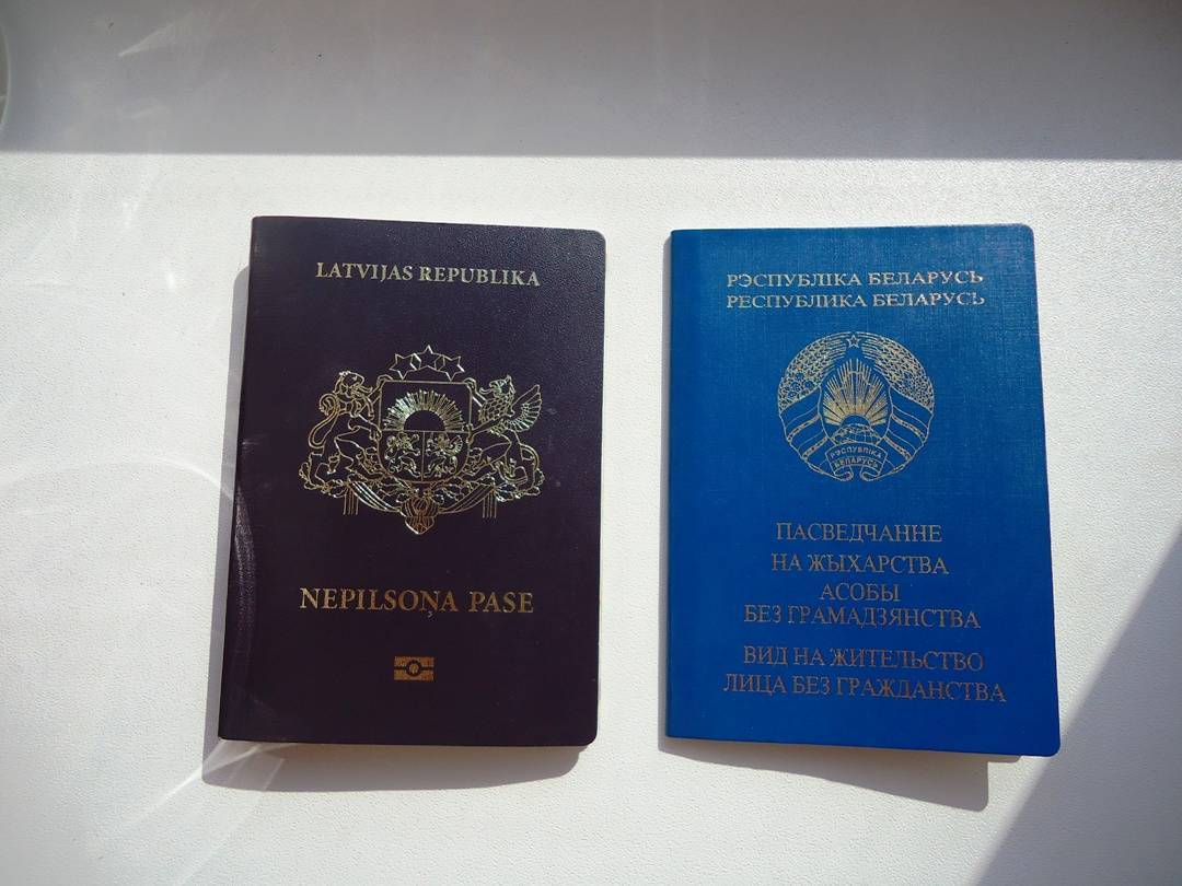 Что такое пмж, внж и гражданство: разница между ними — все о визах и эмиграции