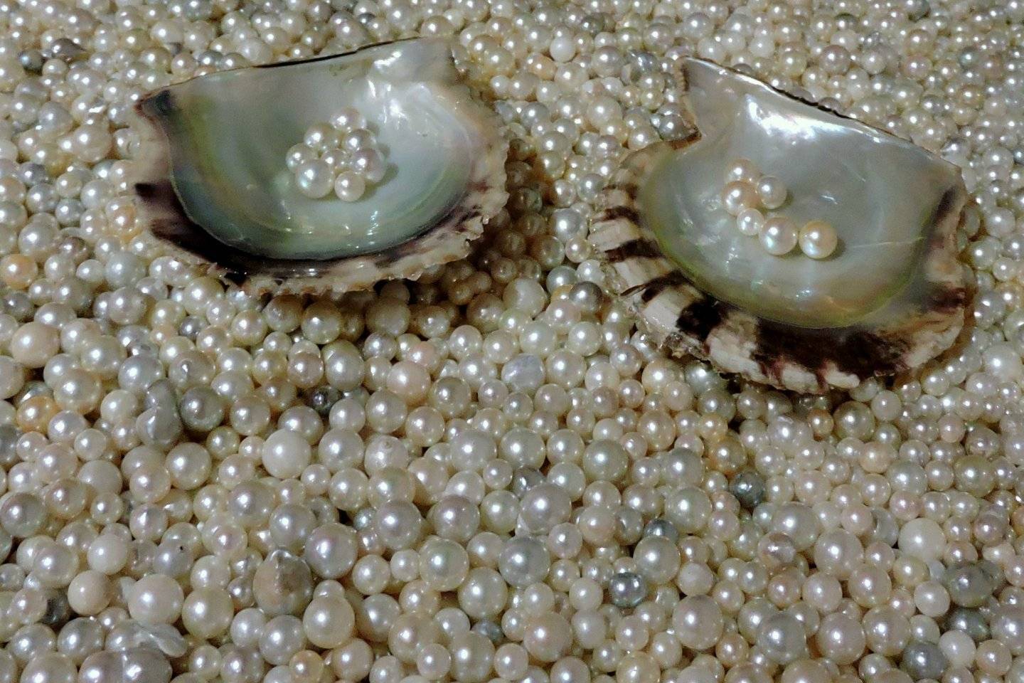 Como se hacen las perlas