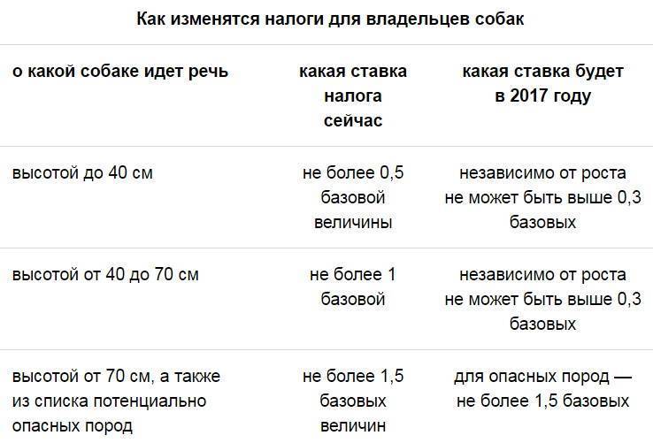 Налог на домашних животных вводиться не будет - парламентская газета