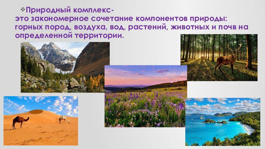 Разнообразие природных комплексов россии
