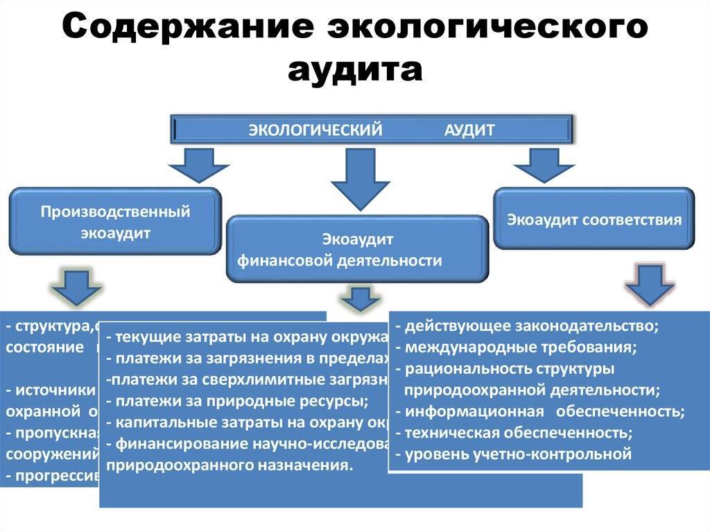 Аудит инвестиционных проектов обучение