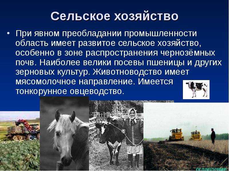 Презентация на тему сельское хозяйство. Сельское хозяйство доклад. Сельское хозяйство для презентации. Отрасли животноводства.