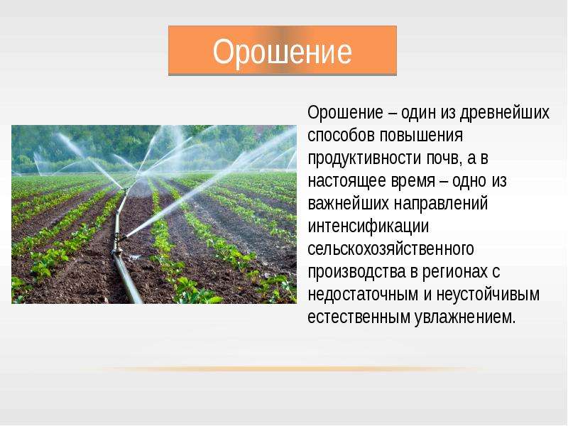 Обработка почвы и система удобрения при орошении