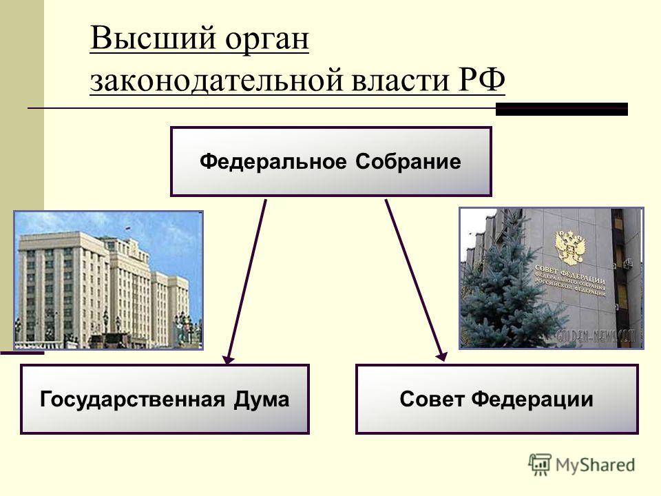 Государственную власть в россии осуществляют выбрать