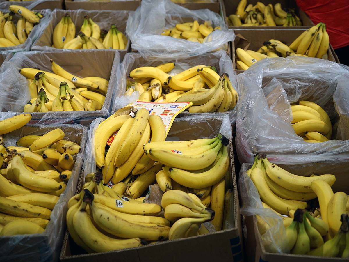 Откуда идет поставка бананов в россию? - ваша онлайн-энциклопедия