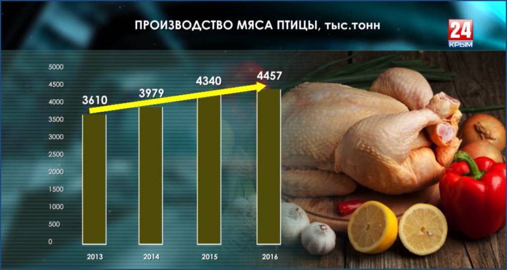 Импортозамещение и санкции как стимул российского сельского хозяйства: новости животноводства
