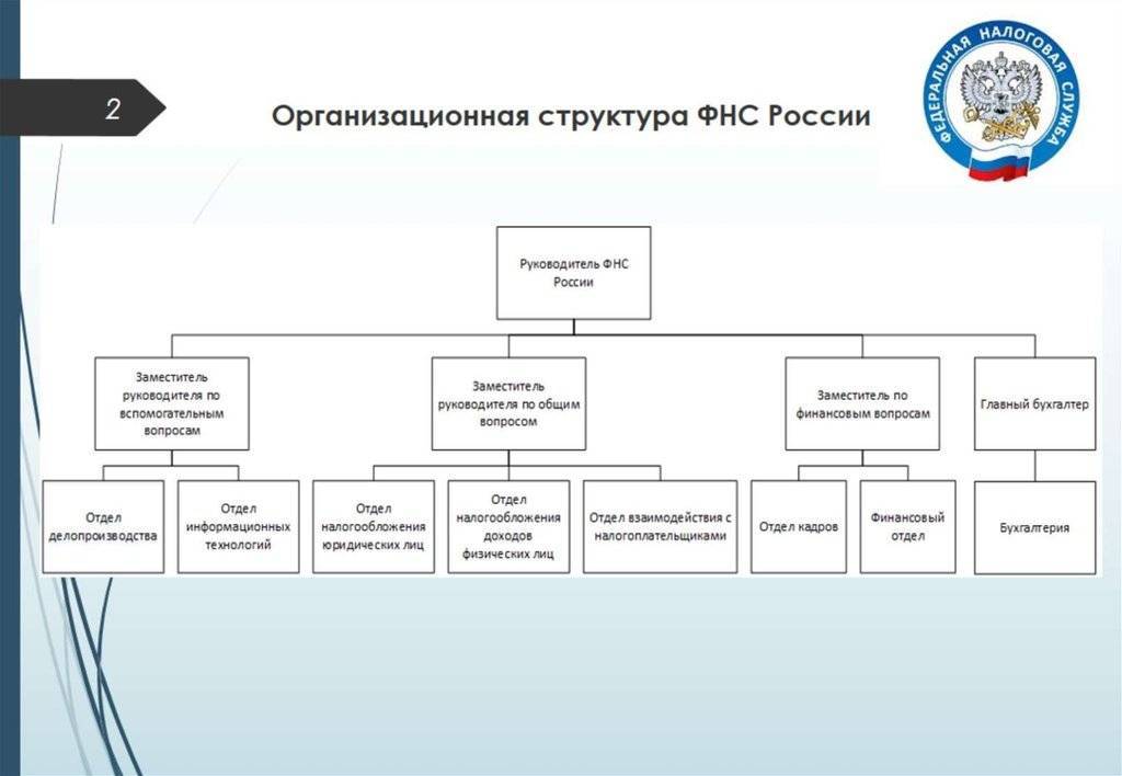 Функции, полномочия и организационная структура фнс россии