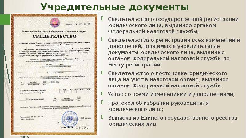 Что входит в учредительные документы: список - realconsult.ru