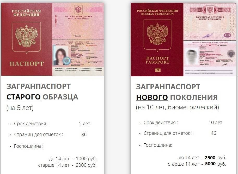 Какие сроки изготовления загранпаспорта в россии?