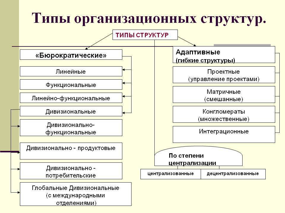 Организационная структура предприятия: понятие и типы – sprintinvest.ru