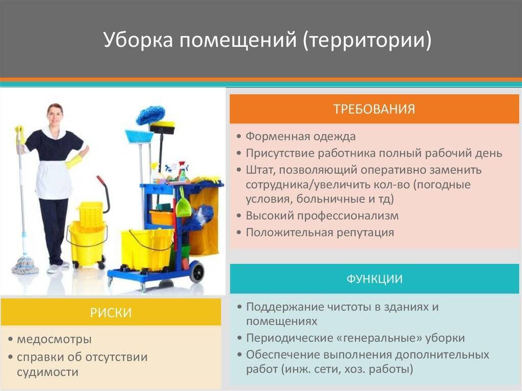 Виды услуг клининговой компании | статья на бизнес-портале elport.ru