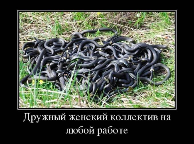 Бог с нами, братья!