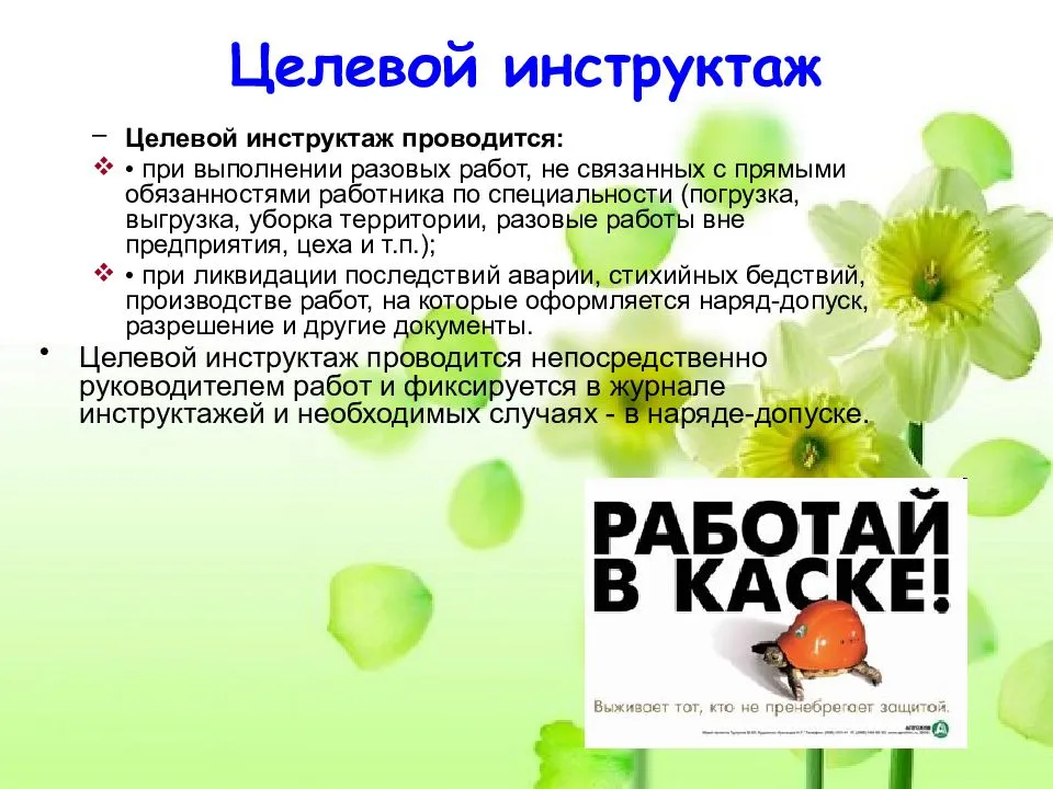 Целевой инструктаж по охране труда: когда проводится, кто проводит, журнал, программа :: businessman.ru