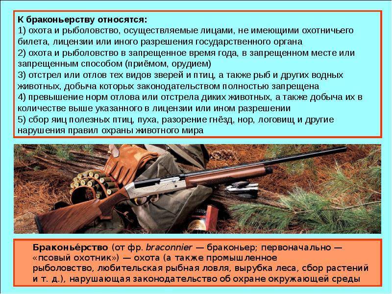 Статья 8.37 коап рф. нарушение правил охоты, правил, регламентирующих рыболовство и другие виды пользования объектами животного мира