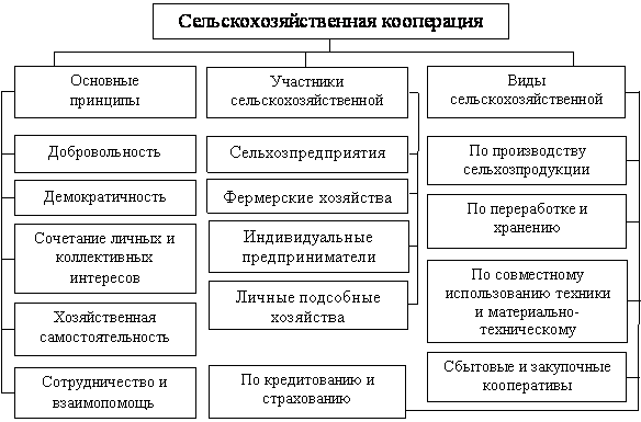 Понятие и виды кооперативов :: businessman.ru
