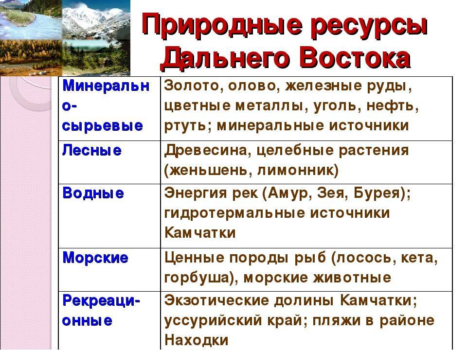 Характеристика дальневосточного района по плану 9 класс география