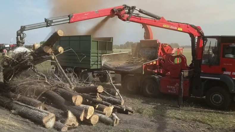 Станки для переработки древесных отходов - экология и защита окружающей среды