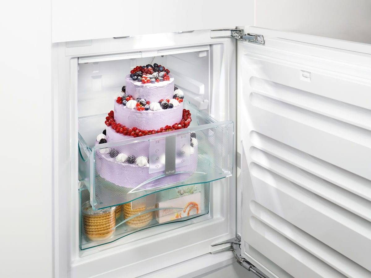 Как выбрать морозильную камеру и ларь для дома - объем и функции морозилок на примере популярных моделей