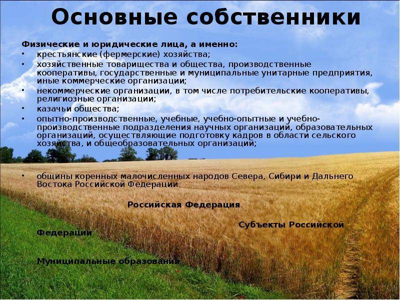 Выкуп земли сельскохозяйственного назначения. право собственности на землю :: businessman.ru