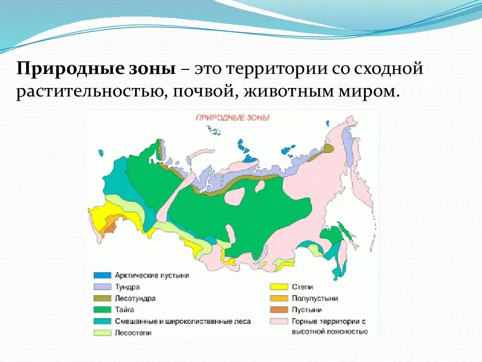 Посмотри на изображения растительного мира и определи в какой природной зоне