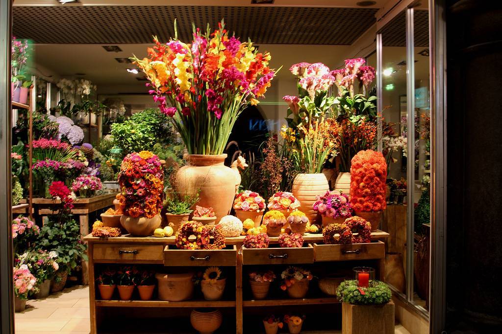 Как открыть цветочный магазин с нуля: бизнес план 2022