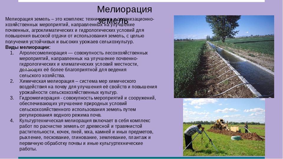 Влияние обработки почвы на плодородие и агрофизические свойства | статья в журнале «молодой ученый»