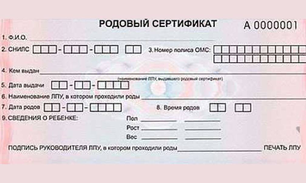 Как получить родовой сертификат? что дает родовой сертификат его обладательнице? :: businessman.ru